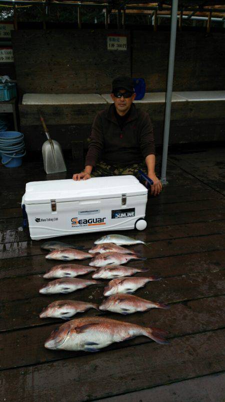 海上釣堀フィッシングレインボー 釣果