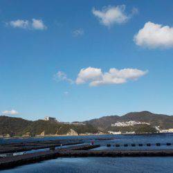 淡路じゃのひれフィッシングパーク 釣果