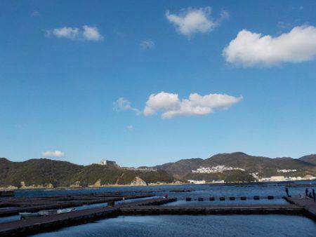 淡路じゃのひれフィッシングパーク 釣果