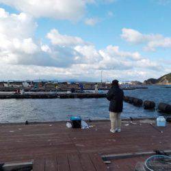 淡路じゃのひれフィッシングパーク 釣果