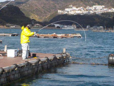 淡路じゃのひれフィッシングパーク 釣果