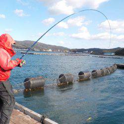 淡路じゃのひれフィッシングパーク 釣果