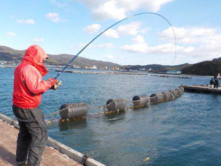 淡路じゃのひれフィッシングパーク 釣果
