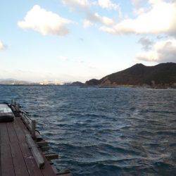 淡路じゃのひれフィッシングパーク 釣果