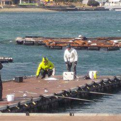 淡路じゃのひれフィッシングパーク 釣果