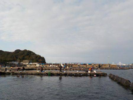 淡路じゃのひれフィッシングパーク 釣果