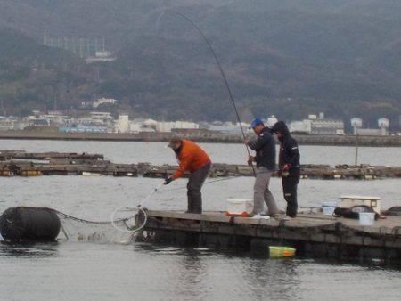 淡路じゃのひれフィッシングパーク 釣果