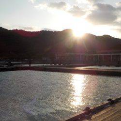 淡路じゃのひれフィッシングパーク 釣果