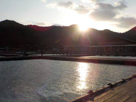 淡路じゃのひれフィッシングパーク 釣果