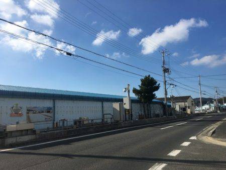 淡路じゃのひれフィッシングパーク 釣果