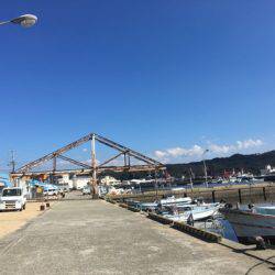 淡路じゃのひれフィッシングパーク 釣果