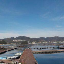 淡路じゃのひれフィッシングパーク 釣果