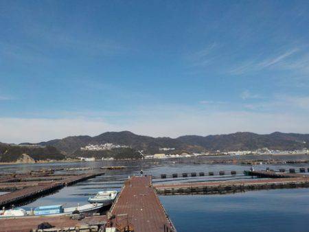 淡路じゃのひれフィッシングパーク 釣果