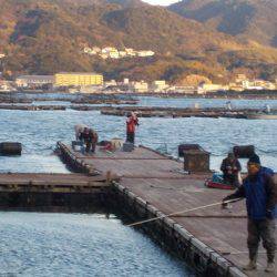 淡路じゃのひれフィッシングパーク 釣果