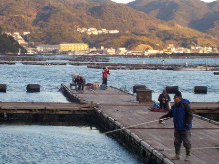 淡路じゃのひれフィッシングパーク 釣果