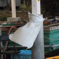 淡路じゃのひれフィッシングパーク 釣果