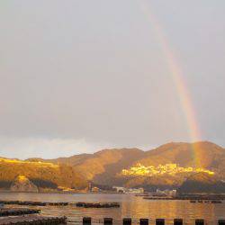 淡路じゃのひれフィッシングパーク 釣果