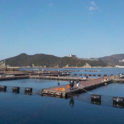 淡路じゃのひれフィッシングパーク 釣果