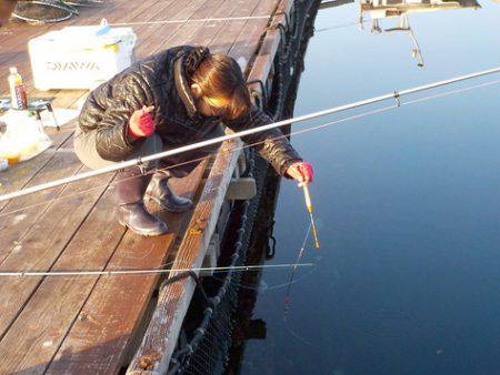 淡路じゃのひれフィッシングパーク 釣果