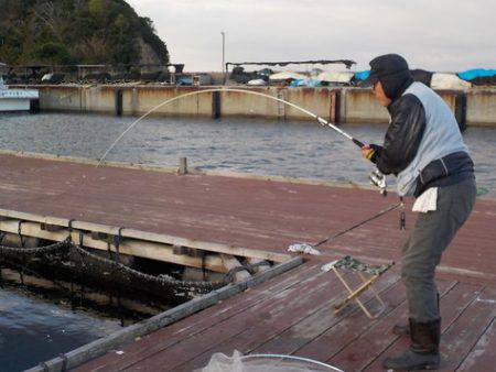 淡路じゃのひれフィッシングパーク 釣果