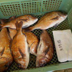 淡路じゃのひれフィッシングパーク 釣果