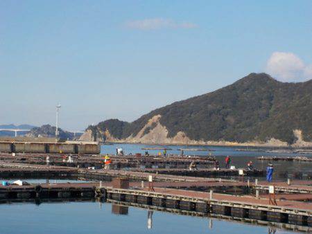 淡路じゃのひれフィッシングパーク 釣果