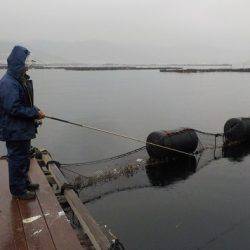 淡路じゃのひれフィッシングパーク 釣果