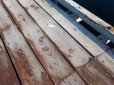 淡路じゃのひれフィッシングパーク 釣果