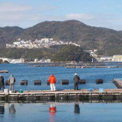 淡路じゃのひれフィッシングパーク 釣果