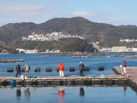 淡路じゃのひれフィッシングパーク 釣果