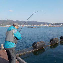 淡路じゃのひれフィッシングパーク 釣果