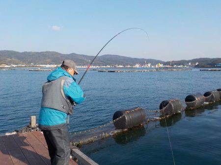 淡路じゃのひれフィッシングパーク 釣果