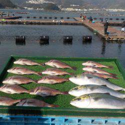 淡路じゃのひれフィッシングパーク 釣果