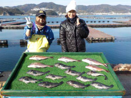 淡路じゃのひれフィッシングパーク 釣果