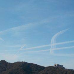 淡路じゃのひれフィッシングパーク 釣果