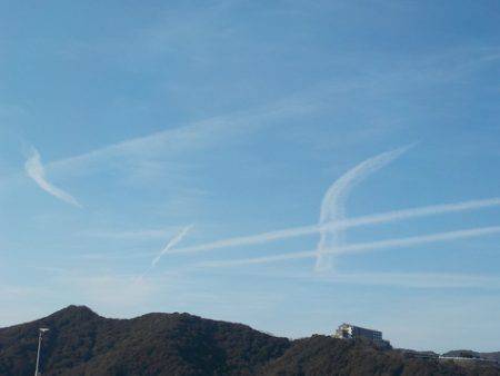 淡路じゃのひれフィッシングパーク 釣果