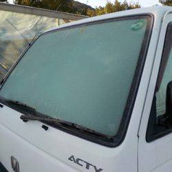 淡路じゃのひれフィッシングパーク 釣果