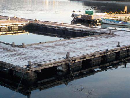 淡路じゃのひれフィッシングパーク 釣果