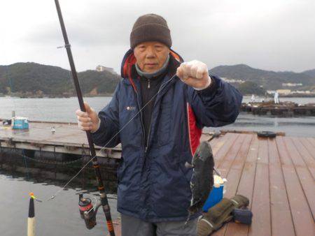 淡路じゃのひれフィッシングパーク 釣果