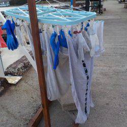 淡路じゃのひれフィッシングパーク 釣果