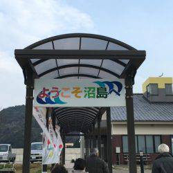 淡路じゃのひれフィッシングパーク 釣果