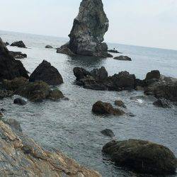 淡路じゃのひれフィッシングパーク 釣果