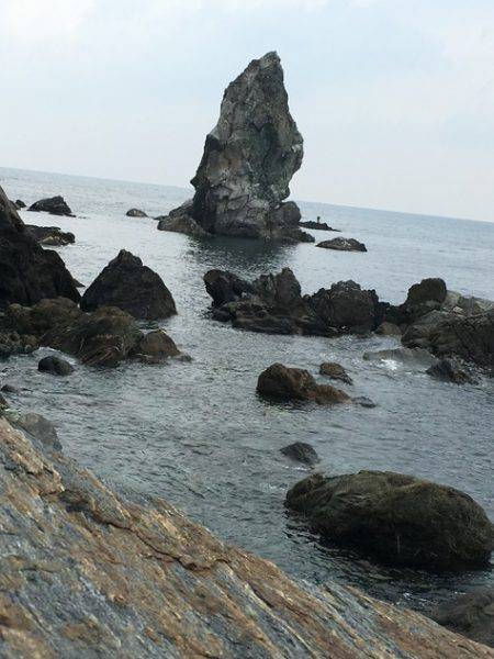 淡路じゃのひれフィッシングパーク 釣果