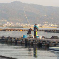 淡路じゃのひれフィッシングパーク 釣果