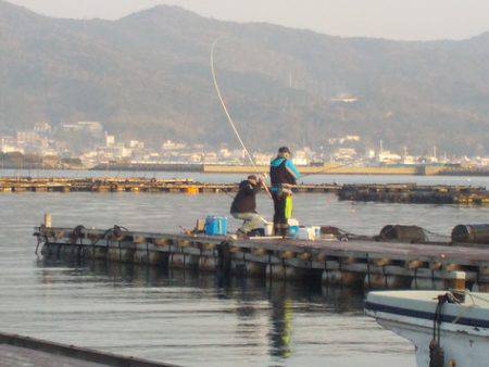 淡路じゃのひれフィッシングパーク 釣果