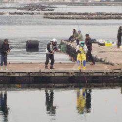 淡路じゃのひれフィッシングパーク 釣果