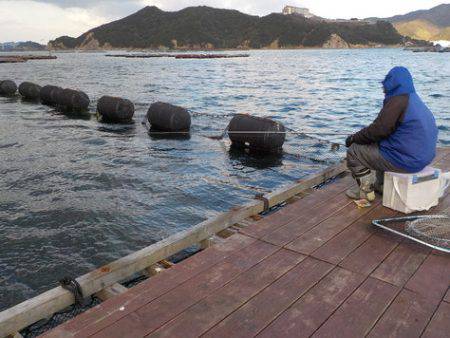 淡路じゃのひれフィッシングパーク 釣果