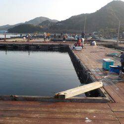 淡路じゃのひれフィッシングパーク 釣果