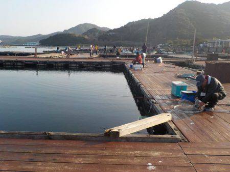 淡路じゃのひれフィッシングパーク 釣果