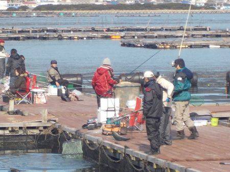 淡路じゃのひれフィッシングパーク 釣果